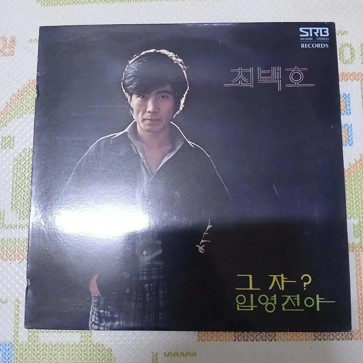 李銀河 イ・ウンハ Eun Ha Lee 이은하 돌이키지마 버스 정류장　LP 李銀河 イ・ウンハ Eun Ha Lee 이은하 돌이키지마 버스 정류장 LP